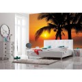 Fototapeta 8-255 Palmy Beach Sunrise   