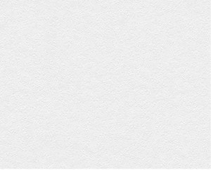 TAPETA 31601-1 MEISTERVLIES