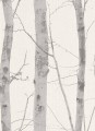 TAPETA 6305-10 PARADISIO