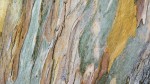 FOTOTAPETA MURAL ŚCIENNY 101096 MAGIC WALLS