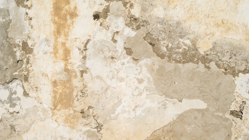 2c36535ec00622363a659bcb9ab026bd