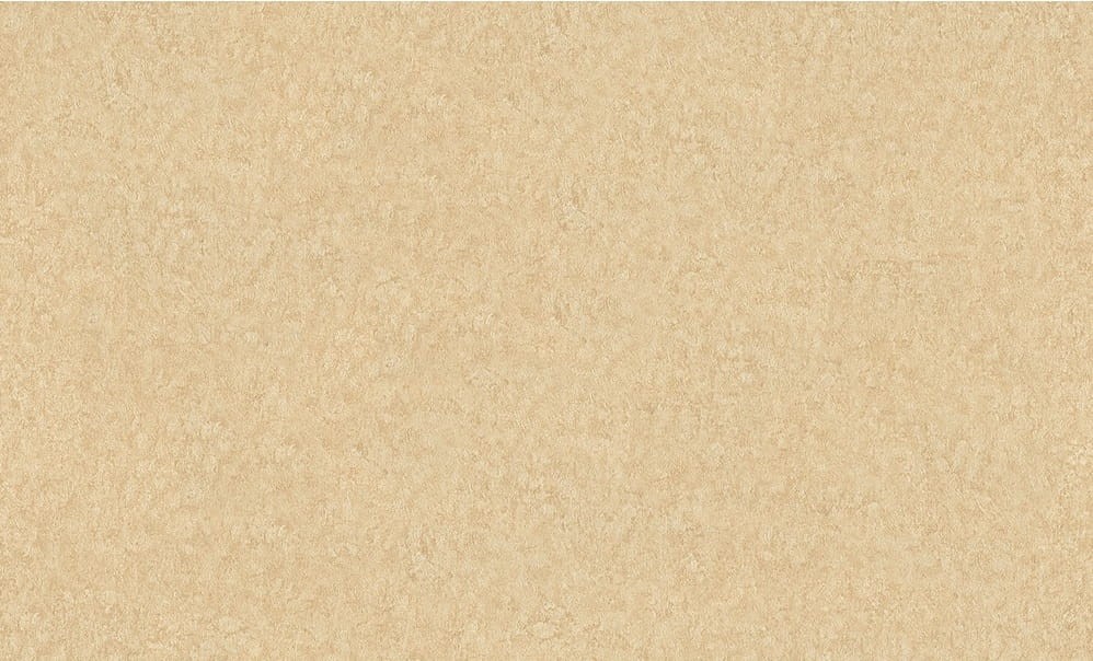 e1413aeb981d61e794296007898e9009