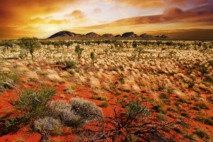 FotoTAPETA na flizelinie MS-5-0050 AUSTRALIAN LANDSCAPE