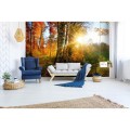 8aaf16c10aa81738c92b25aed0a3a29b