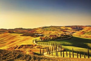 FotoTAPETA na flizelinie MS-5-0070 TUSCANY