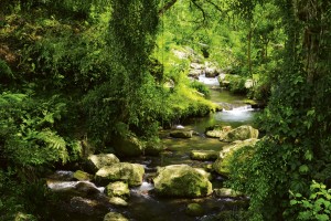 FotoTAPETA na flizelinie MS-5-0079 STREAM