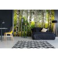 bff9dc8e969792f5f5b080700ac884cb