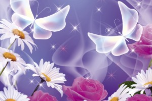FotoTAPETA na flizelinie MS-5-0113 BUTTERFLY