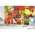 d380cd98c5136d7d406eaa96a9fcb780