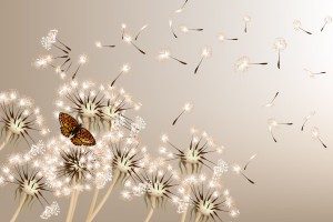 FotoTAPETA na flizelinie MS-5-0148 DANDELIONS AND BUTTERFLY