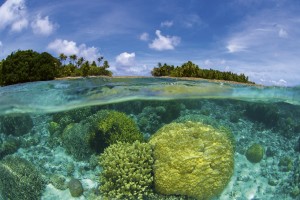 FotoTAPETA na flizelinie MS-5-0200 CORAL REEF