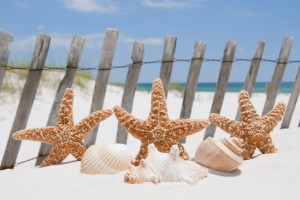 FotoTAPETA na flizelinie MS-5-0206 STARFISH
