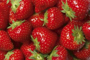 FotoTAPETA na flizelinie MS-5-0241 STRAWBERRY