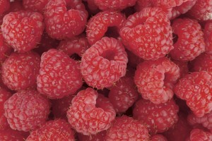 FotoTAPETA na flizelinie MS-5-0242 RASPBERRY