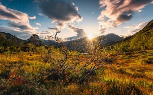 FotoTAPETA na flizelinie SHX9-060 Norwegische Herbstwelten