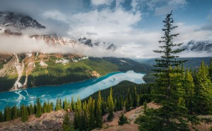 FotoTAPETA na flizelinie SHX9-098 Wonderland Canada