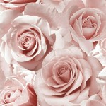 TAPETA J28733 / 315846 Róza z brokatem J287-33 Papierowa Wyprzedaż 2 rolki