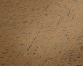 a831388b3fd8765338fd5363109e75b3
