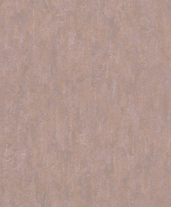 TAPETA 458046 ANDY WAND