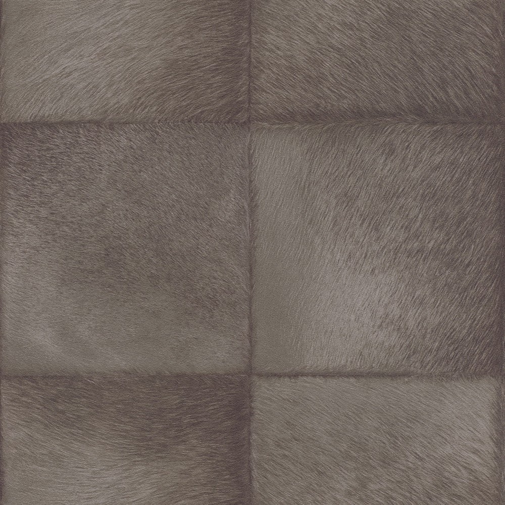 2a4742b482ec4ed2e5241be117d8b210