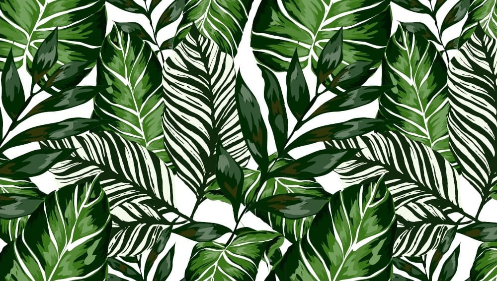 Okleina Meblowa 14126 HOUSE PLANTS szer 45 cm