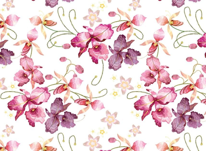 Pink Orchid.jpg
