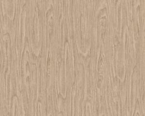 TAPETA 37052-2 VERSACE IV