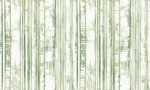 TAPETA M29694D EDEN