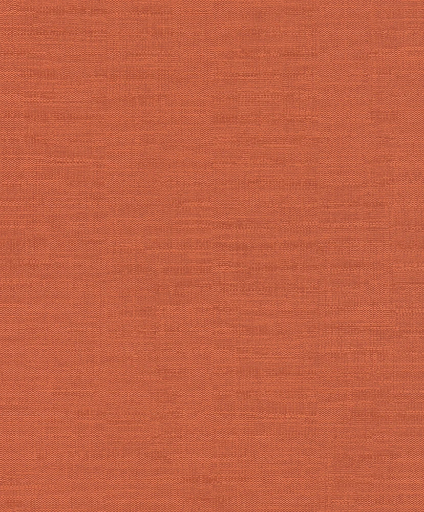 700497.jpg