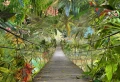 Fototapeta 8-977 WILD BRIDGE