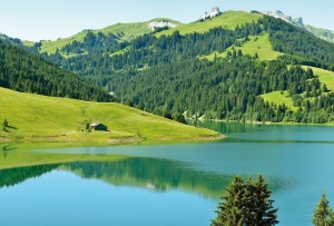 FotoTAPETA Flizelinowa 5186-8 Swiss Mountain Lake Launensee Gstaad