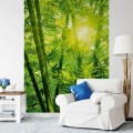 Fototapeta flizelinowa 5403-4 Bamboo Forest