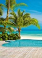 Fototapeta flizelinowa 5405-4 POOL Palmy Basen