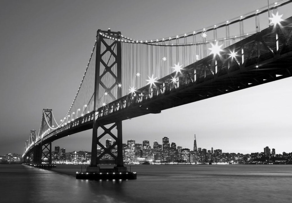 Fototapeta flizelinowa 5407-8 San Francisco Skyline