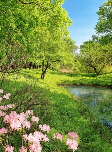 FotoTAPETA Flizelinowa 5408-4 Park in the Spring