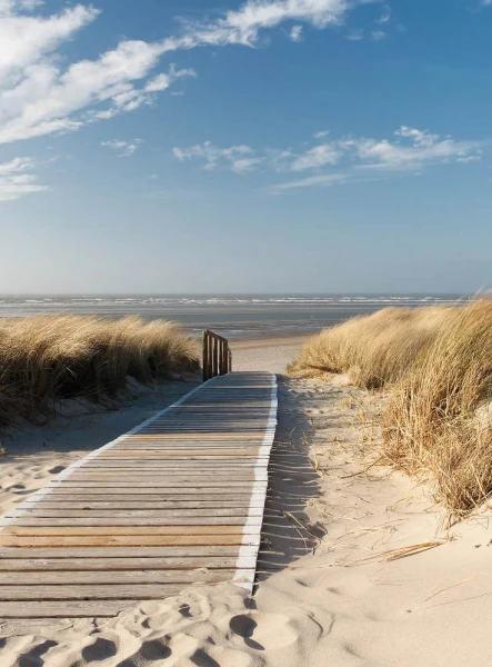 Fototapeta Flizelinowa 5437-4 On the Baltic Sea