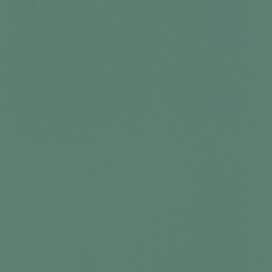 TAPETA 807615 SALSA