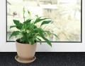 Okleina Meblowa 200-8297 Black Granite szer 67,5 cm