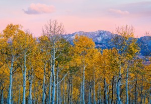 FotoTAPETA na flizelinie 5066-8 Birches and Mountains