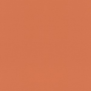 Tapeta 687569 Allegretto / tropical House