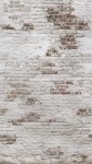MURAL TAPETA EP6101 OROM 2