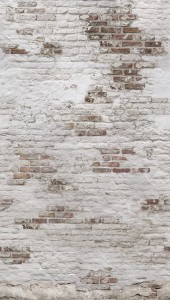 MURAL TAPETA EP6101 OROM 2