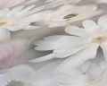 f74986b550f06bf71d7206b71c783606