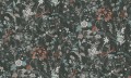 03489614e9568dd851d7e23781e06fa0