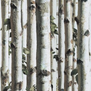 TAPETA J21517 UGEPA