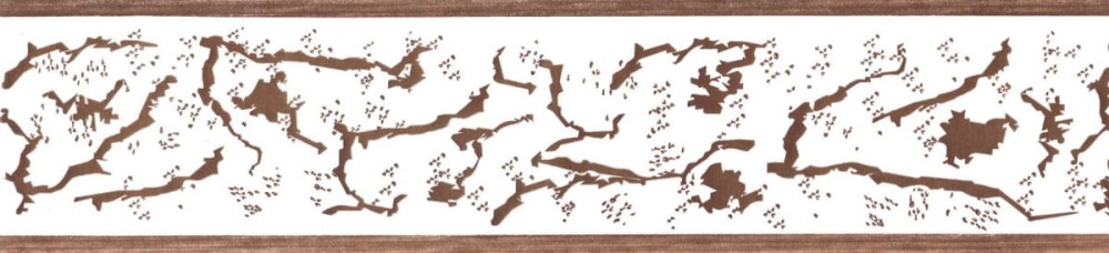 Border Bajpol 758 Pasek samoprzylepny szer. 5 cm