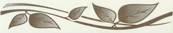 Border Bajpol 784 Pasek samoprzylepny szer. 5 cm