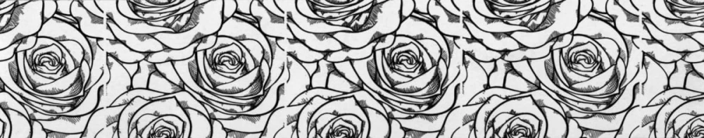 3a442198ca55f7b1185450f88850ba1a