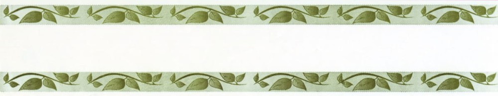 Border Bajpol 730 Pasek samoprzylepny szer. 5 cm