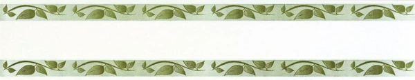 Border Bajpol 730 Pasek samoprzylepny szer. 5 cm